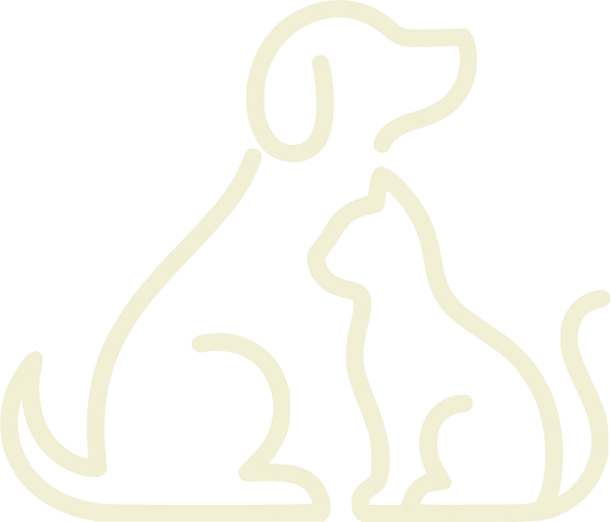 Sunshine Coast Pet Sitting dog and cat